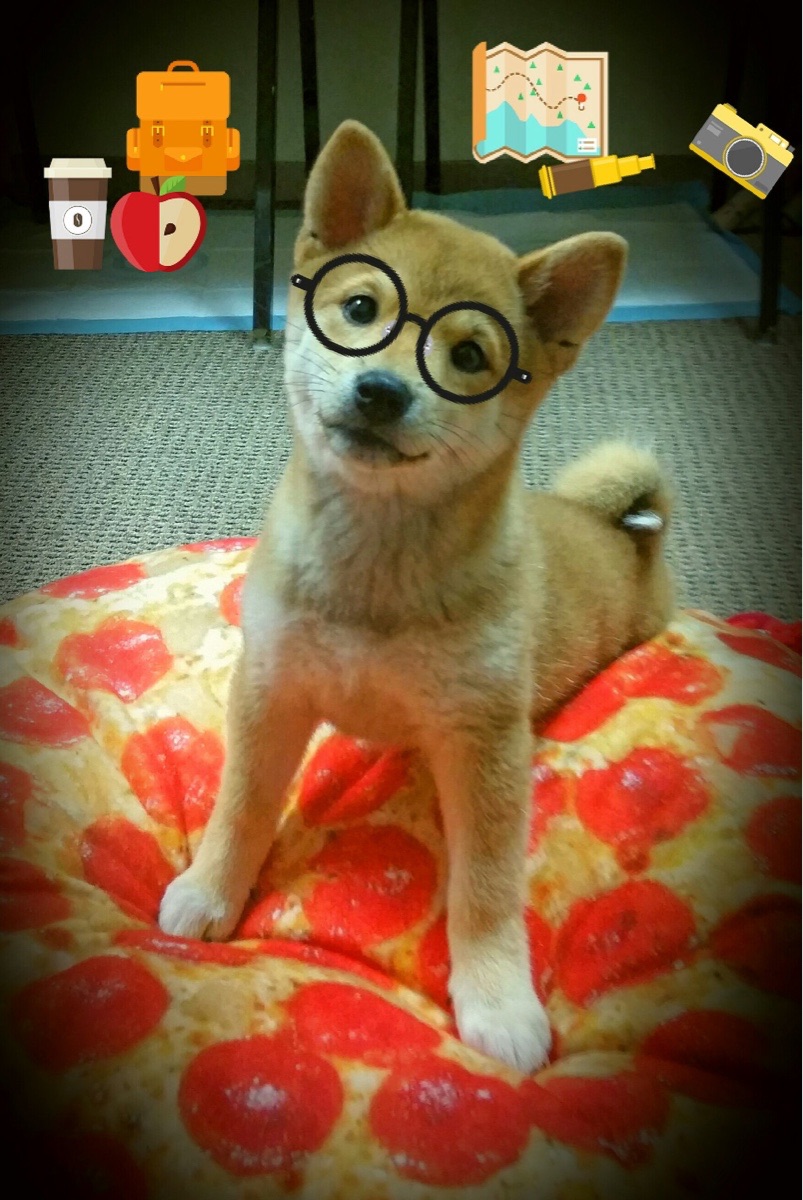 _户外露营跑：体验大自然的运动盛会_，户外露营活动策划方案