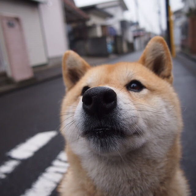 开云体育下载-“场馆智能化潮流下的变革—物联网、AI助力打造未来数字化棒球场”