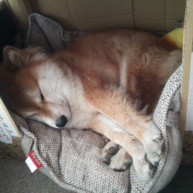 勇士在旧金山设置“球迷许愿墙”，收集万条祝福，勇士旧金山球裤