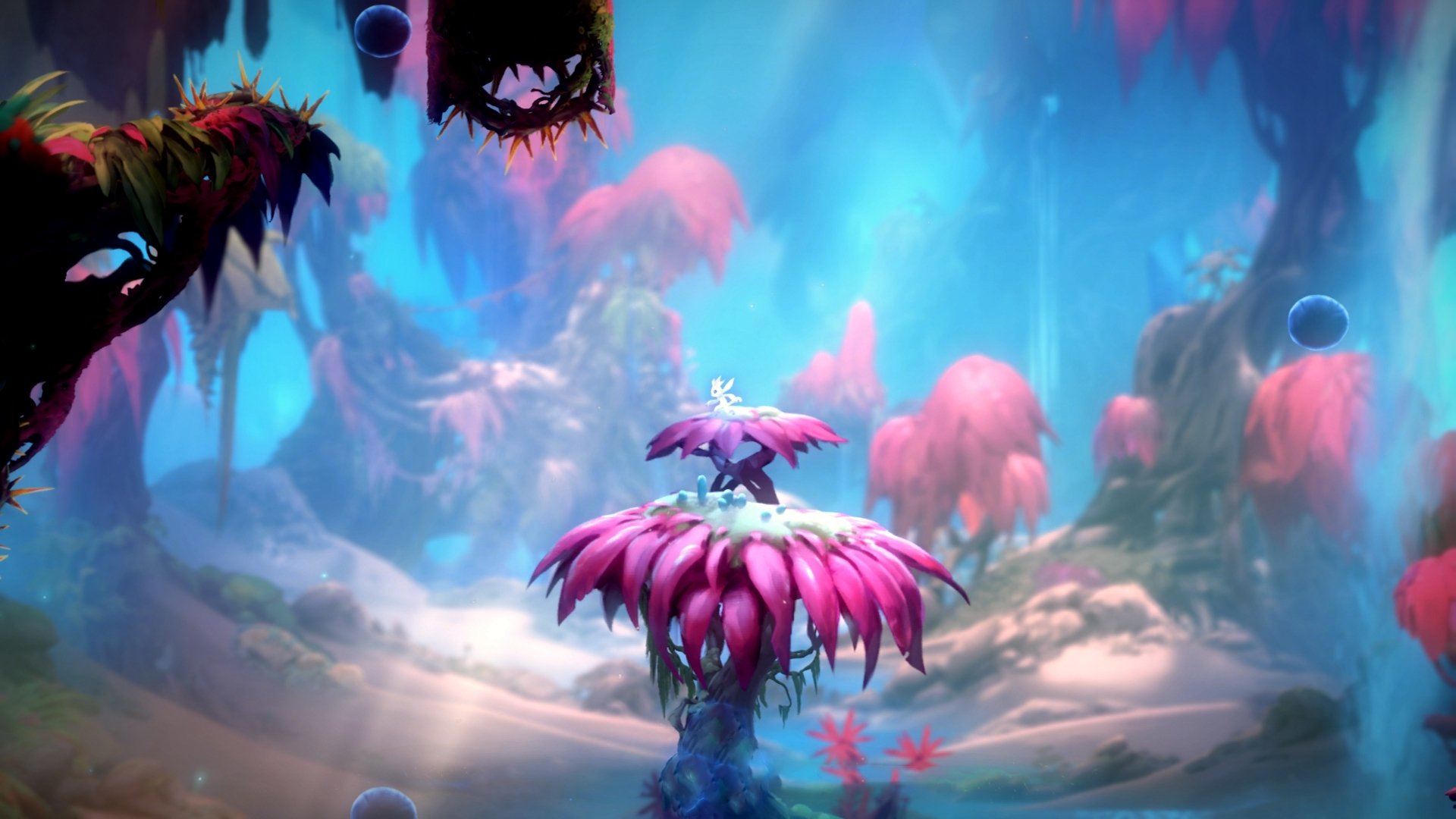 史上最大“黑马队”崛起：逆境中夺冠，十大黑马