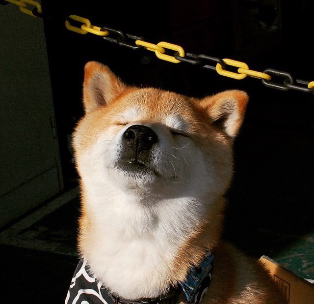 史上最激烈“冠军夜”全场回顾,感受巅峰对决!,冠军之夜活动地址