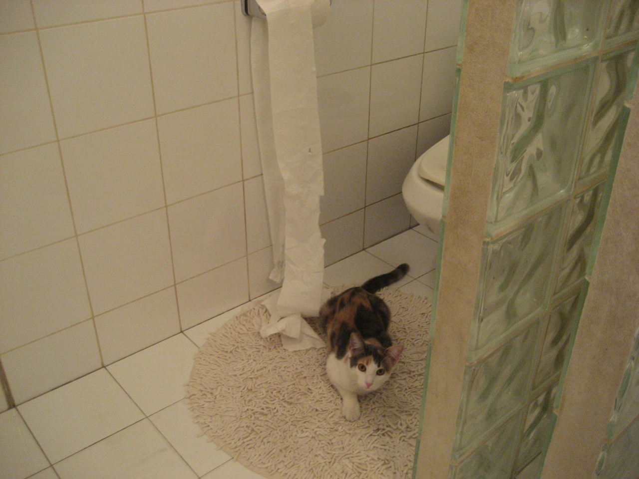 史上最动人心弦的“决赛瞬间”回放，决赛精彩瞬间