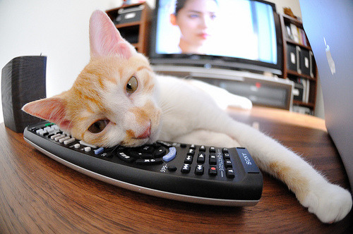 墨西哥骑手卡洛斯·汉克在巴黎奥运会后成为马术协会主席，推动马术运动发展。