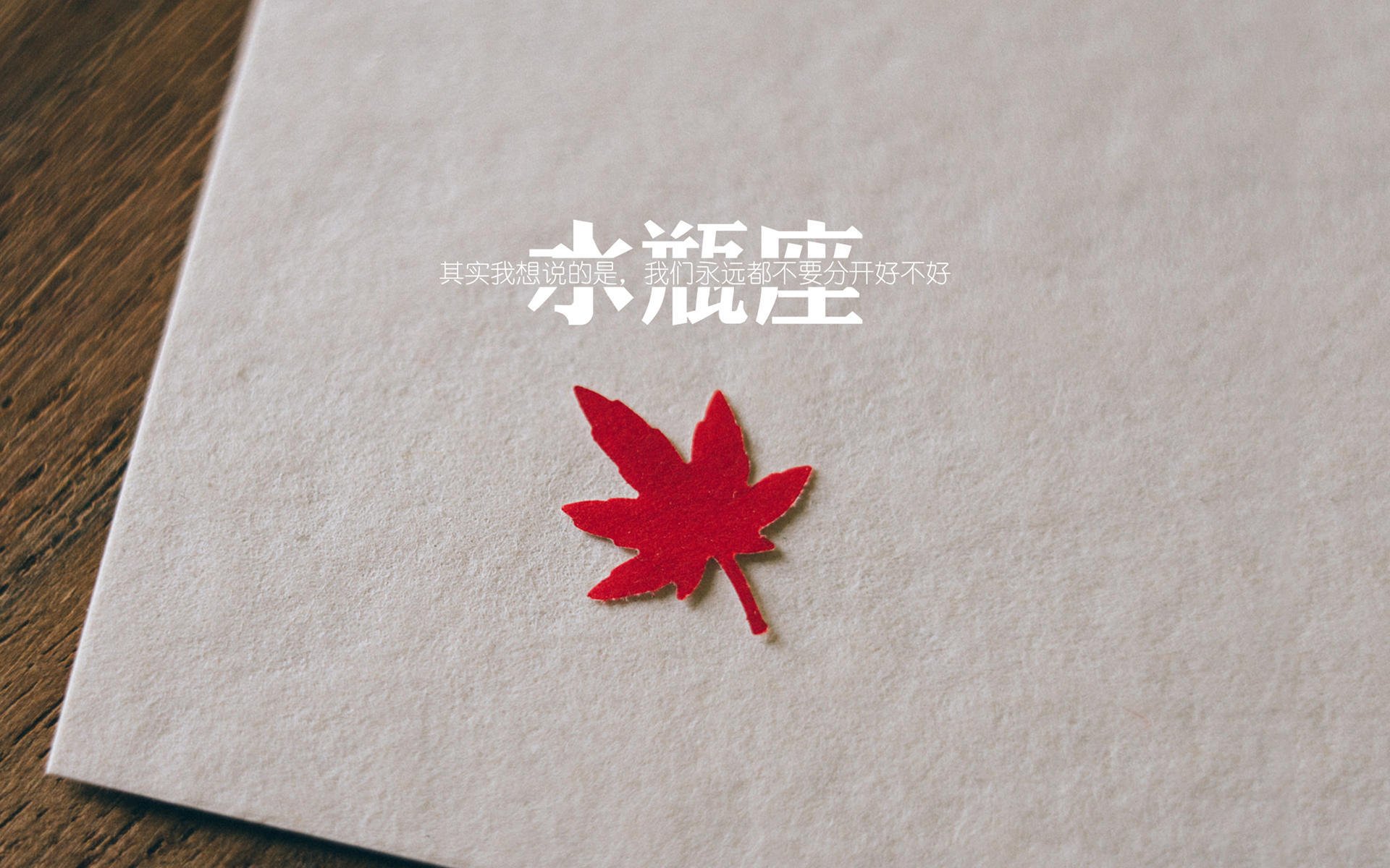 开云体育平台-太阳队举行退役仪式，致敬纳什辉煌生涯，太阳队纳什比赛录像