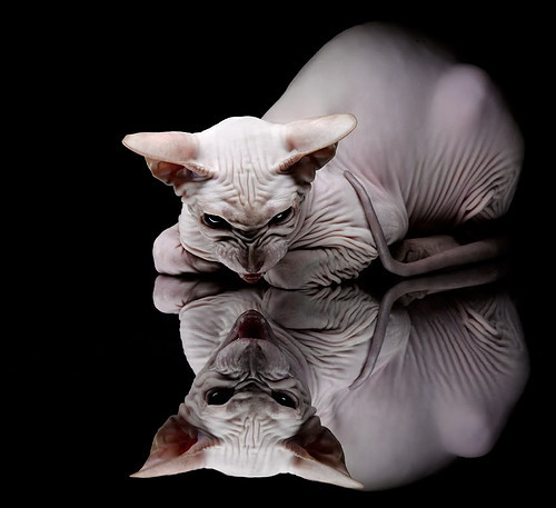 开云体育入口-探秘欧冠“神秘”战术：球队为何总能逆转？，欧冠为什么扩军