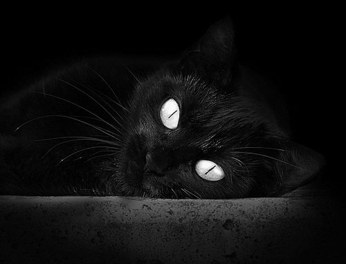 教练换人策略再受质疑，换教练会不会被原来的教练骂