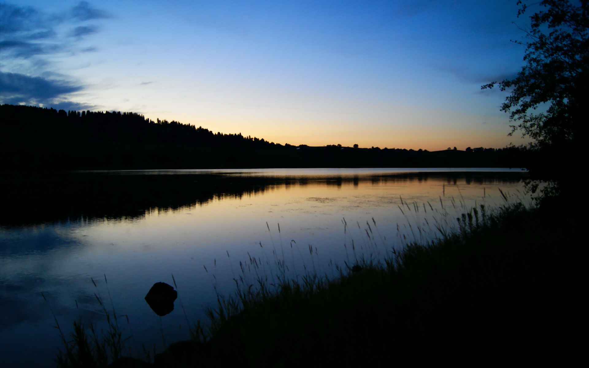开云体育官方网站-特色极限飞盘赛，舞动天空的速度与技巧，飞盘舞蹈