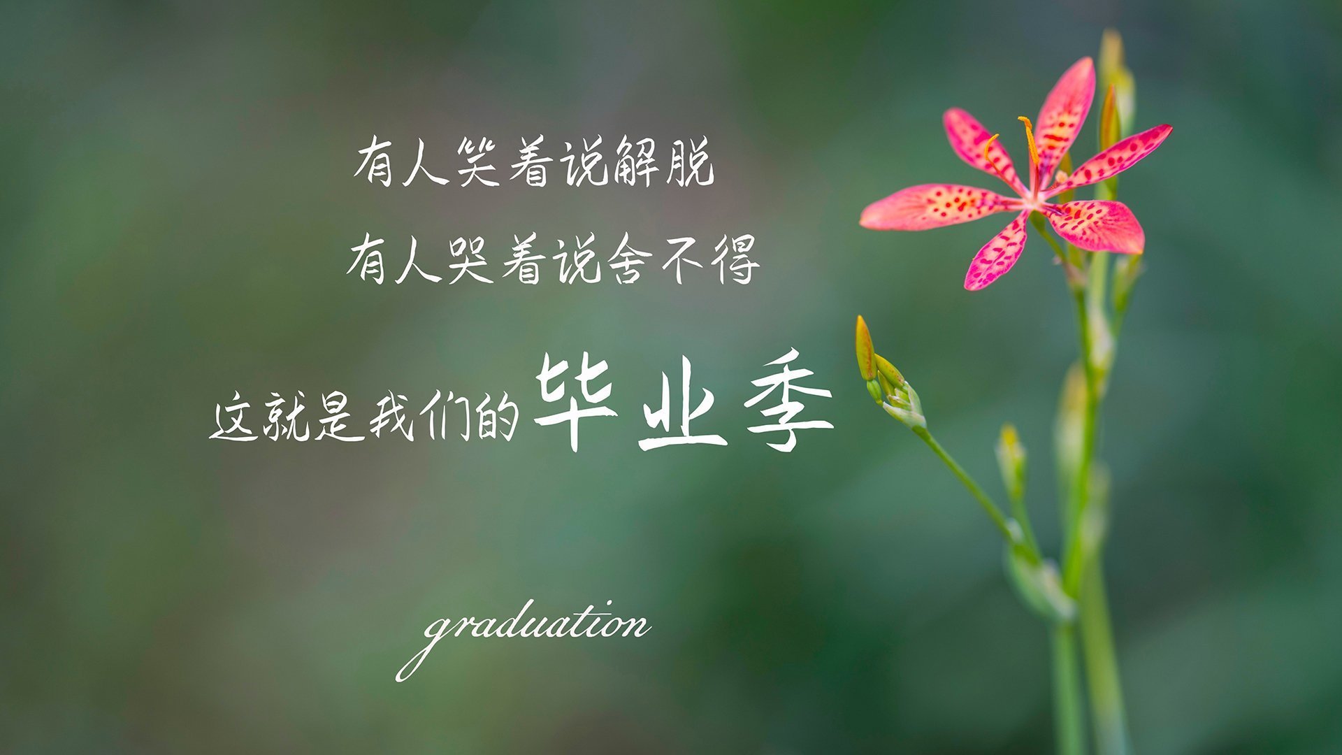 开云体育客户端-足球运动员职业培训体系完善，提升整体水平，足球技能培训流程