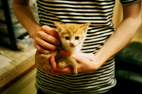 开云体育入口-博卡青年比赛节奏掌控出色，博卡青年是什么意思