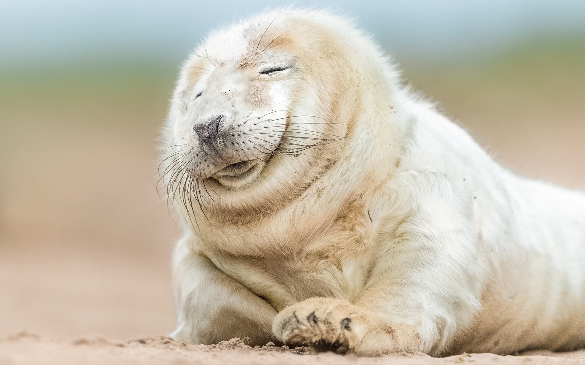 中小学体育教学评价创新,中小学体育教学评价创新案例分析