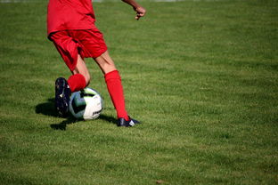 开云网页版-英超青训体系中情绪调节训练对青少年比赛焦虑的控制作用，英超青训球员定义