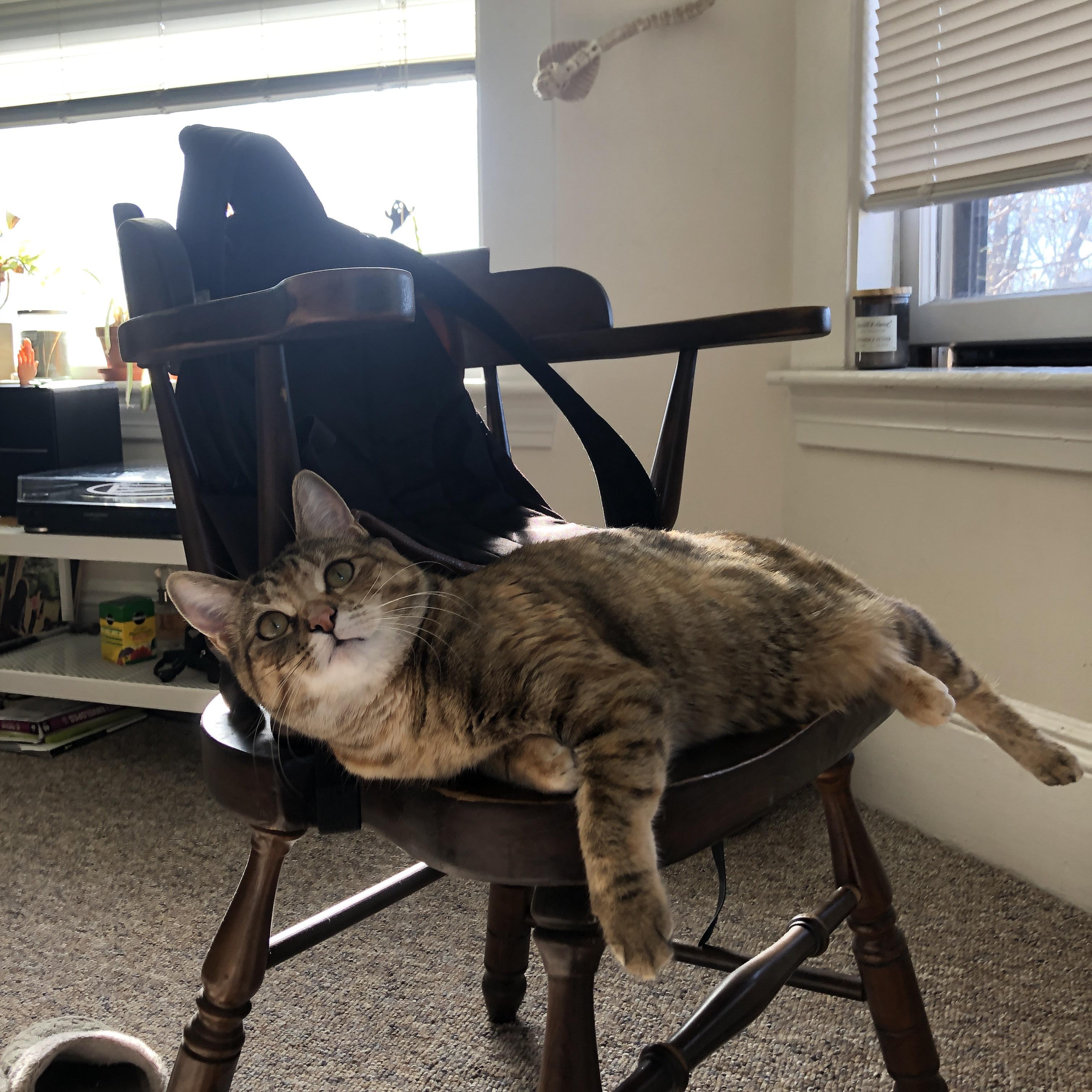 体育新闻中心推动智慧健身平台内容对接工程，智慧体育建设