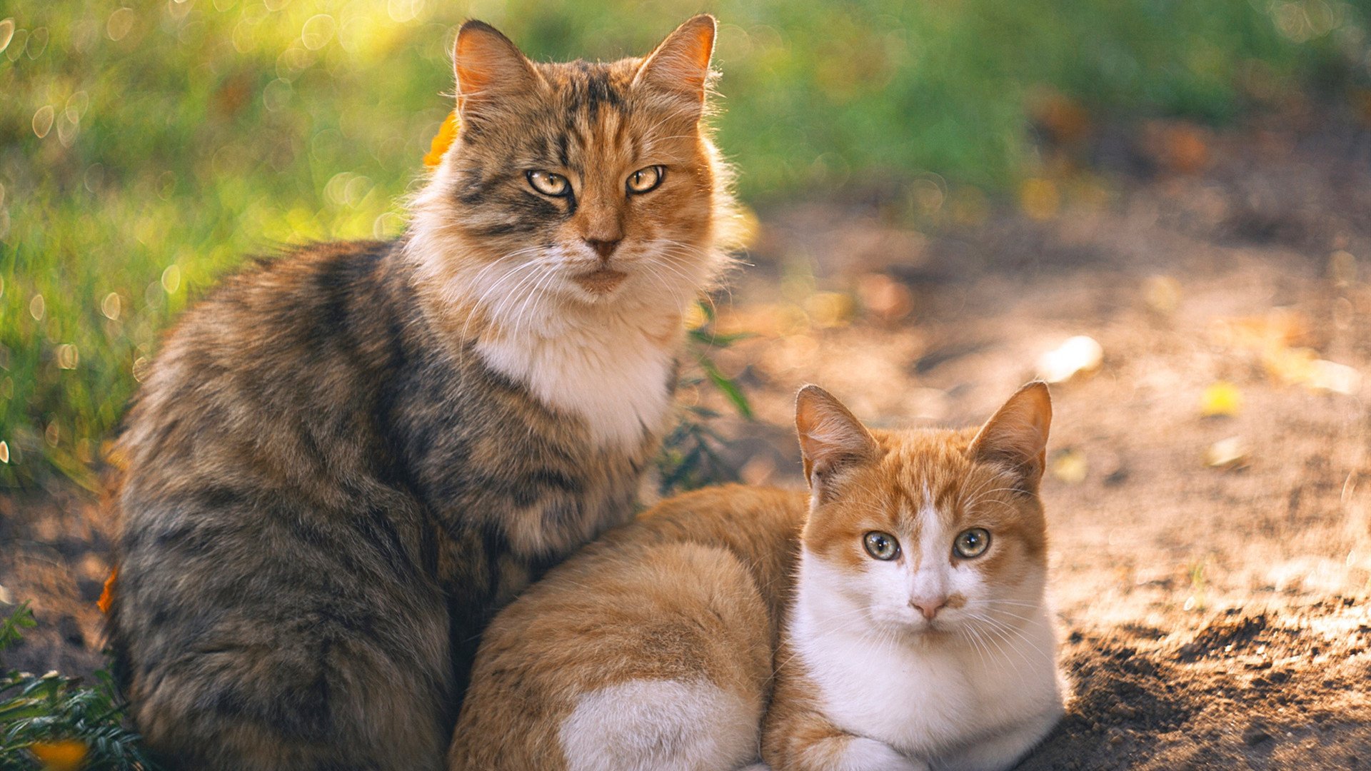 博卡进攻停留在外围，缺少深入打击，博卡啥意思